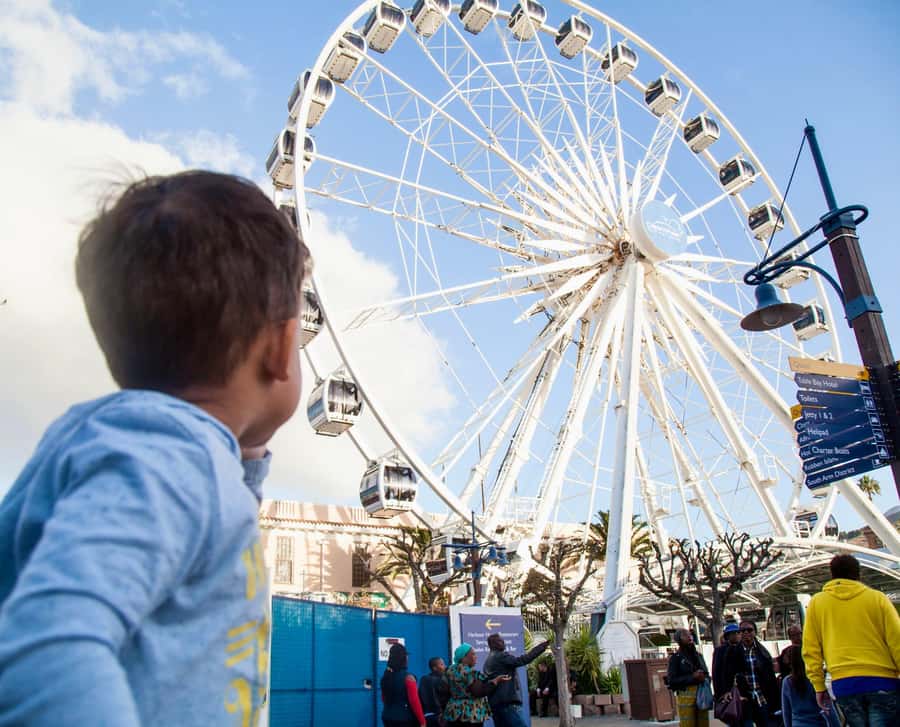 Cape Town City Pass: Save Over 50% on 80+ Top Attractions - Adventure and adrenaline: SUP, kayaking, paragliding from Signal Hill, and more