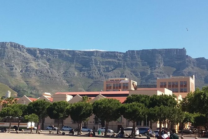 Cape Town City Tour Camps Bay Beach Plus Table Mountain Ticket - Table Mountain: using the included cable car return ticket wisely