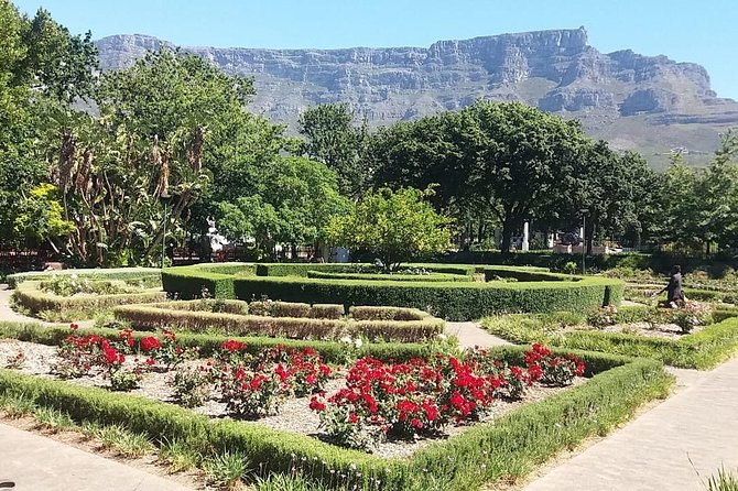 Cape Town City Tour Camps Bay Beach Plus Table Mountain Ticket - Company’s Garden: a heritage garden break with bamboo and monuments