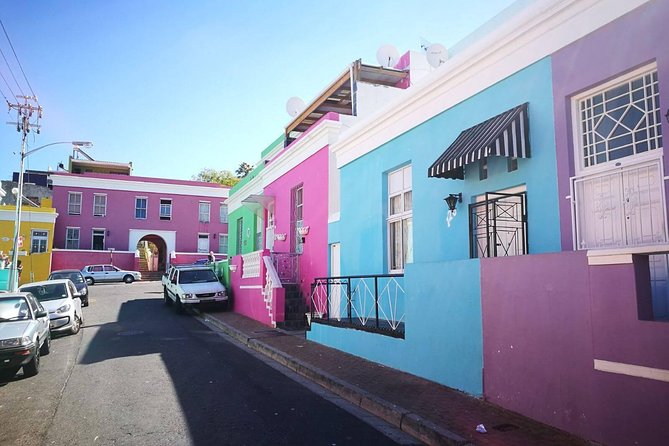 Cape Town City Tour Half-Day - Company’s Gardens and the Museum vibe: start easy, start central