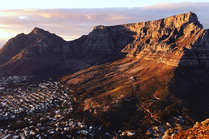 Cape Town City Tour Half-Day - Parliament and City Hall stops: quick glimpses with big-symbol value