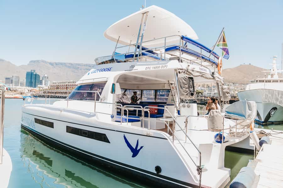 Cape Town: Coastal Cruise & 14-piece Sushi Meal - Key things that make this outing worth your time