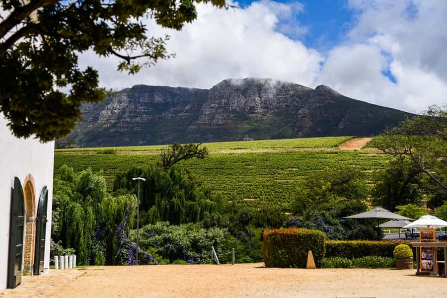 Cape Town: Constantia Half-Day Wine Tour & Tastings - Key highlights worth centering
