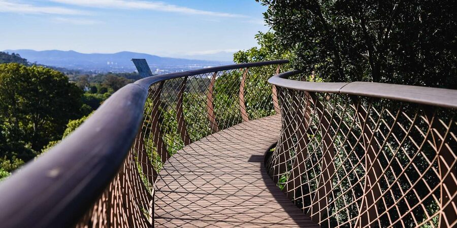 Cape Town: Constantia Half-Day Wine Tour & Tastings - Timing and Pacing: What 4 Hours Really Means