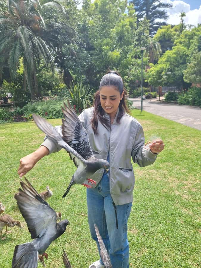 Cape Town: Culinary Walking Tour with Food Tastings - What you likely taste, from rooibos to rusks and more