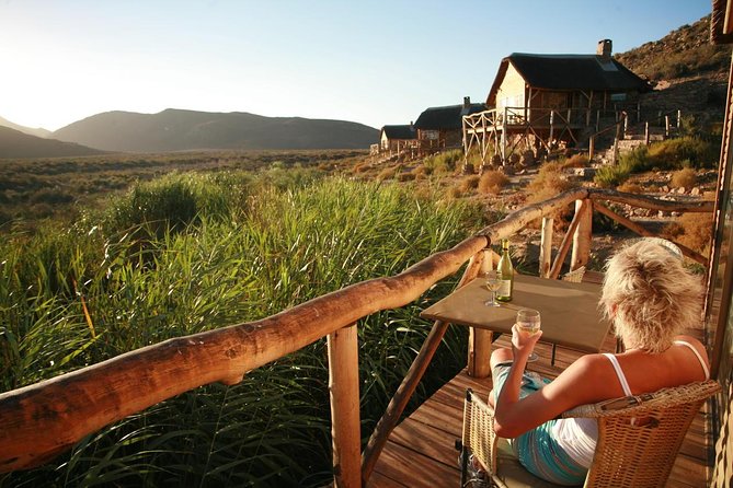 Cape Town Day Safari - Who this safari fits best, and who might want a different option