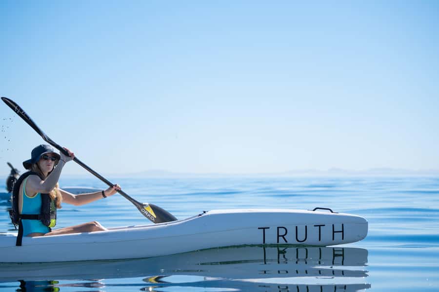 Cape Town: Dolphin & Ocean Wildlife Kayaking Adventure ⚓️ - Why this Cape Town ocean kayak works so well