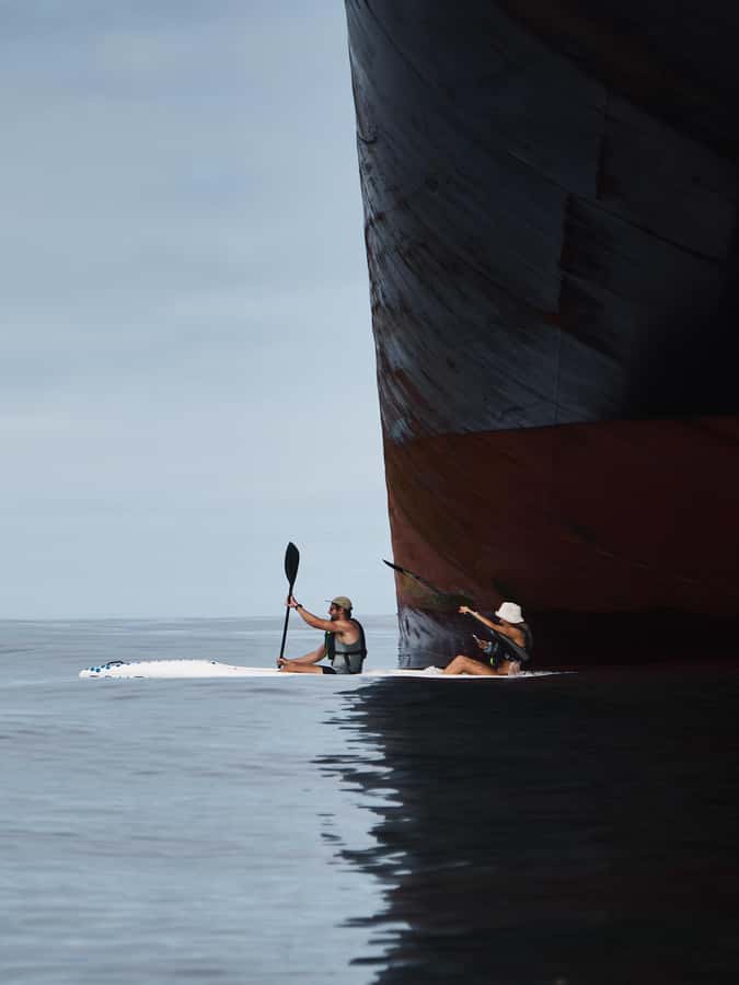 Cape Town: Dolphin & Ocean Wildlife Kayaking Adventure ⚓️ - Price and value: is $37 worth 2 hours of ocean time?