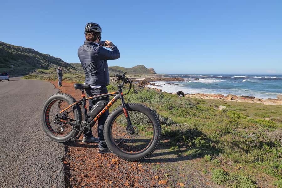 Cape Town: E-Bike Cape Peninsula Tour - Food, Timing, and the Lunch Reality in Simon’s Town