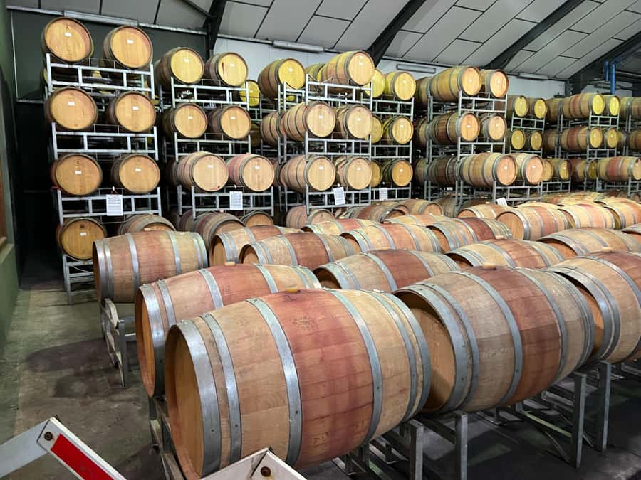 Cape Town: Franschhoek and Wine Tram Tour - How the hop-on hop-off tram works on this route