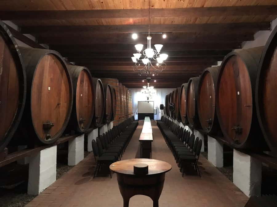 Cape Town: Franschhoek Wine Tram Hop-On Hop-Off Tour - The 7-hour schedule: what to expect from a day that’s not too long