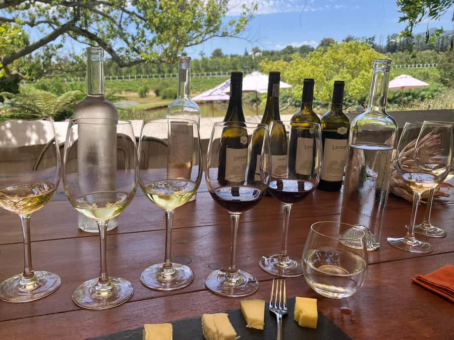 Cape Town: Franschhoek Wine Tram Hop-On Hop-Off Tour - “Hop-on hop-off” in real life: how to choose your route without overthinking it