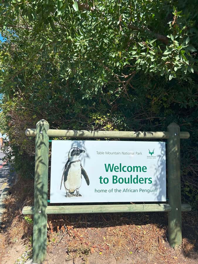 Cape Town: Full Day Cape of Good Hope with Penguins Tour - Price and value: does $127 make sense for your day?