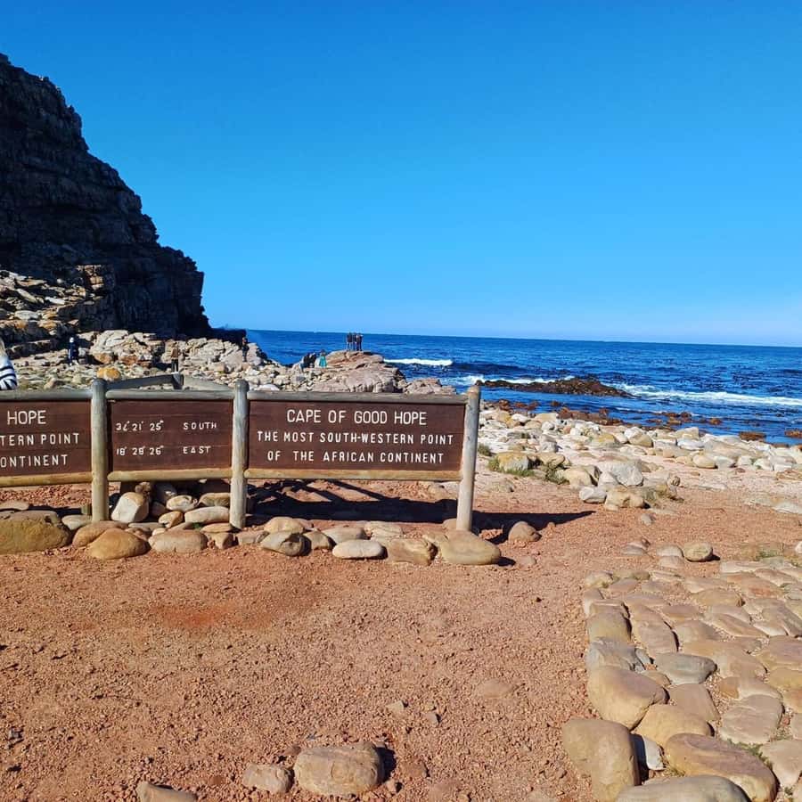 Cape Town: Full Day Cape of Good Hope with Penguins Tour - Cape Point Nature Reserve: where the wild is part of the scenery