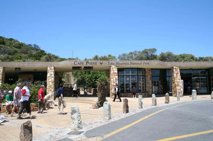 Cape Town: Full-Day Cape Peninsula Tour & Penguin Beach - Cape of Good Hope and Cape Point: Where Two Currents Meet