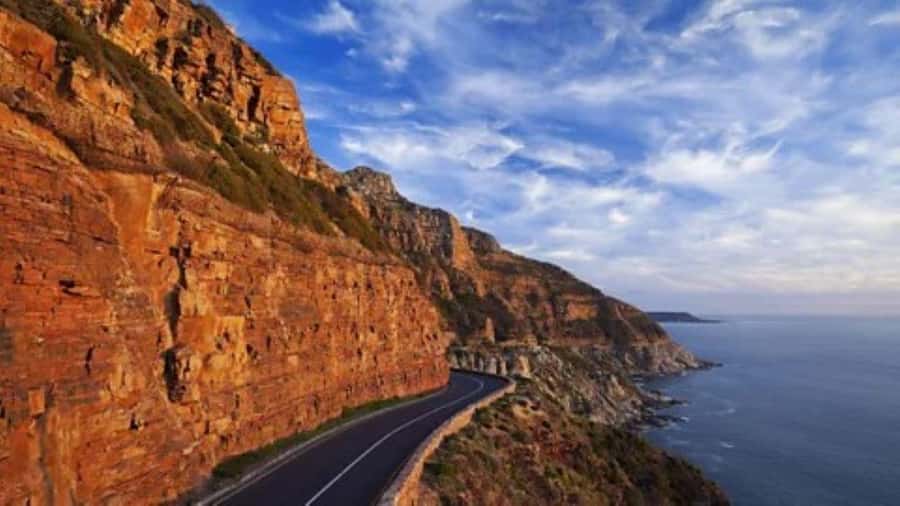 Cape Town: Full-Day Cape Peninsula Tour & Penguin Beach - Bo-Kaap Color, Signal Hill Views, and City Orientation Stops
