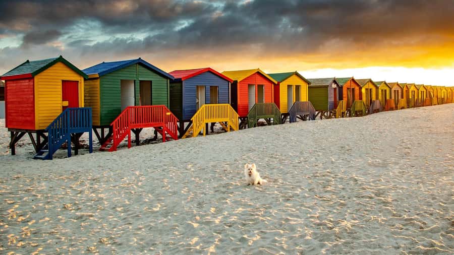 Cape Town: Full-Day Cape Peninsula Tour with Transfers - Key things to know before you go