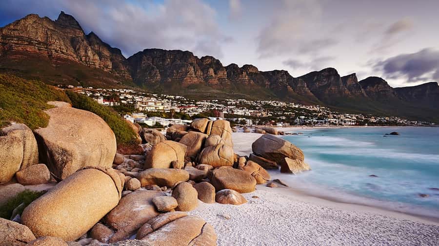 Cape Town: Full-Day Cape Peninsula Tour with Transfers - Pickup window and how the 7 hours are paced