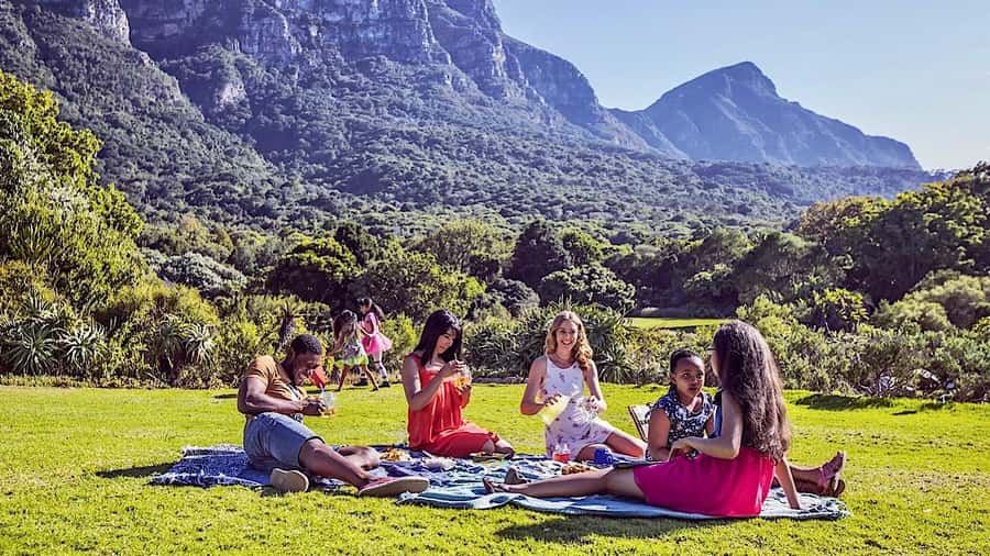 Cape Town: Full-Day Kirstenbosch, Bo-Kaap, and Penguins Tour - Hitting Cape Town’s Best Bits in One Organized Day