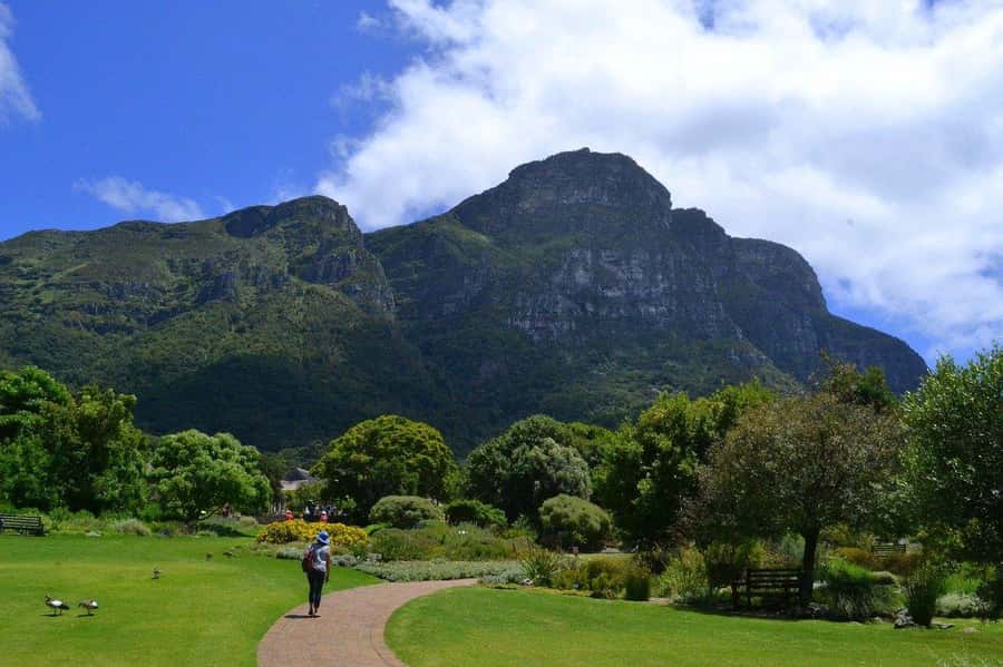 Cape Town: Full-Day Kirstenbosch, Bo-Kaap, and Penguins Tour - Chapmans Peak Drive and Hout Bay: Curves, Seals, and Coastal Timing