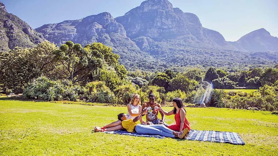 Cape Town: Full-Day Kirstenbosch, Bo-Kaap, and Penguins Tour - Camps Bay Finale: Atlantic Views Before Drop-Off