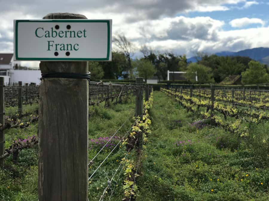 Cape Town: Full-Day Stellenbosch and Franschhoek Wine Tour - A full-day Winelands loop that actually feels manageable