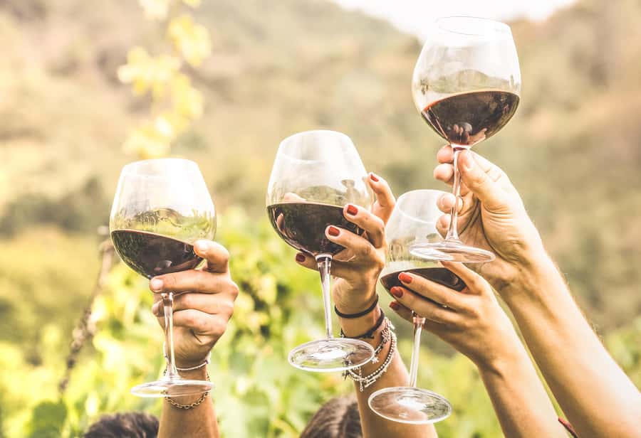 Cape Town: Full-Day Wine Tasting Tour with Wine Tram - Tokara Wine Estate: Cape Blends, Rose, and Cabernet Sauvignon