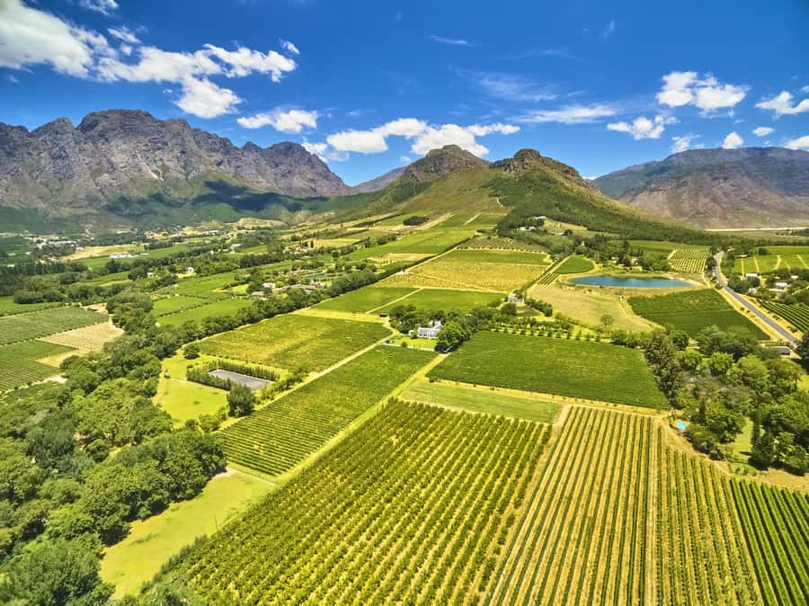 Cape Town: Full-Day Wine Tasting Tour with Wine Tram - The Franschhoek Wine Tram: Your Hopping Base Between Farms
