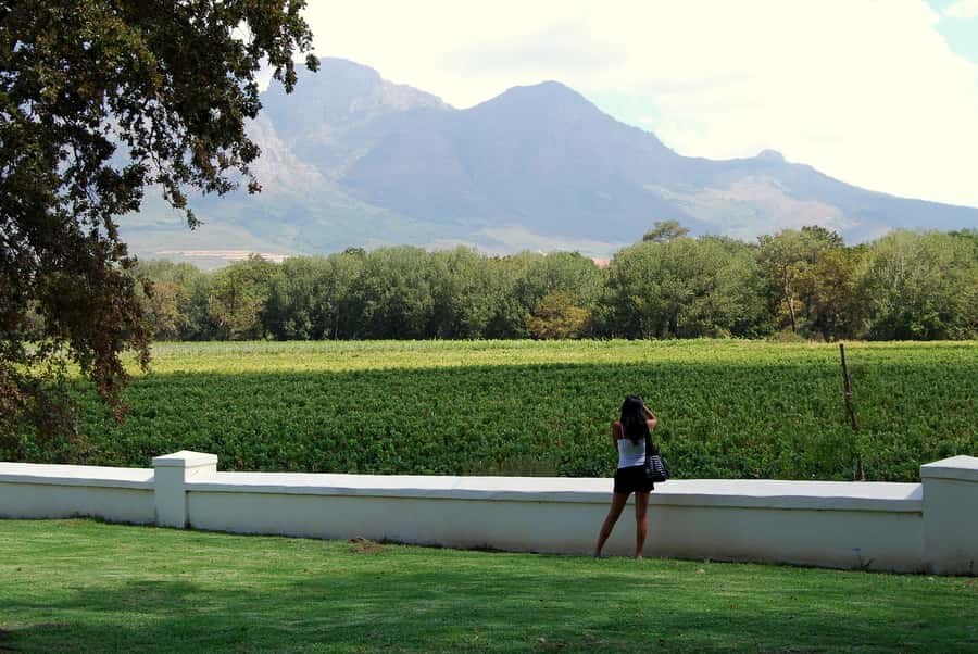 Cape Town: Full-Day Winelands Tour with Wine Tastings & Food - From Cape Town pickup to wine country, without the stress