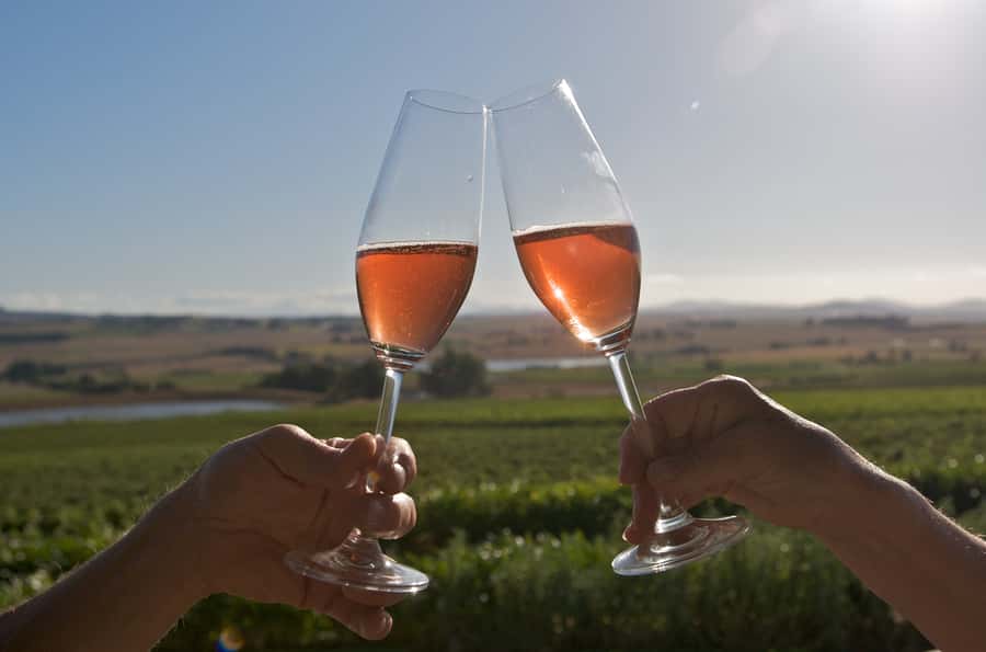 Cape Town: Full-Day Winelands Tour with Wine Tastings & Food - Franschhoek, the French flavor in South African wine