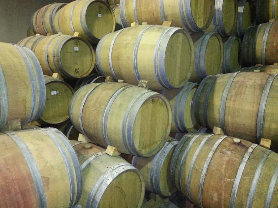 Cape Town: Full-Day Winelands Tour with Wine Tastings & Food - The tasting format: how wine, cheese, chocolate, and food fit together
