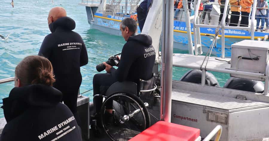 Cape Town: Gansbaai Eco-Friendly Shark Cage Diving Cruise - Likely Wildlife, Including Bronze Whaler Sharks and Optional Big Extras