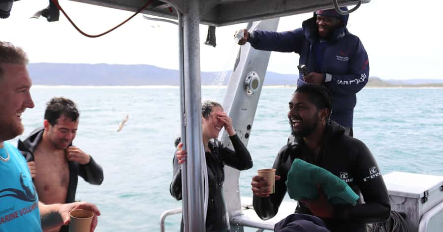 Cape Town: Gansbaai Eco-Friendly Shark Cage Diving Cruise - The African Penguin and Seabird Sanctuary Stop, Conservation in Action