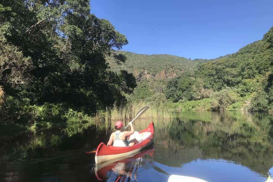 Cape Town: Garden Route and Addo Elephant Park 6-Day Safari - Garden Route plus Addo: why this 6-day mix feels like the right balance