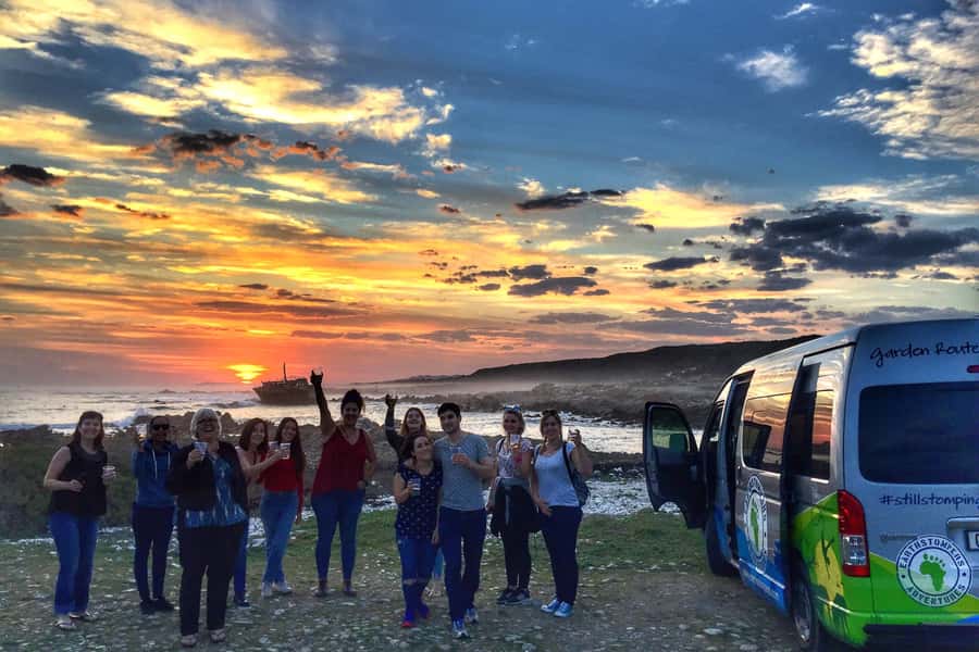 Cape Town: Garden Route and Addo Elephant Park 6-Day Safari - Oudtshoorn and the Little Karoo: Route 62 wine, ostriches, and Cango Caves