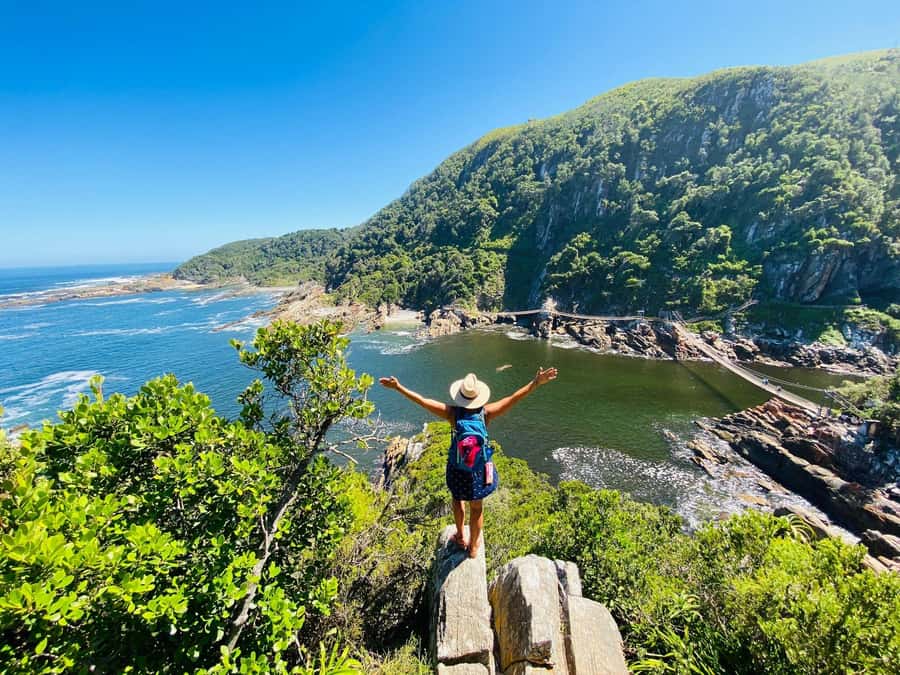 Cape Town: Garden Route and Addo Elephant Park 6-Day Safari - Addo Elephant National Park: turning the trip into a true wildlife day