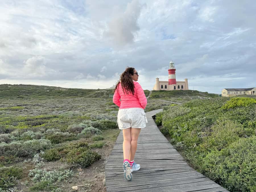 Cape Town: Garden Route and Addo Elephant Park 6-Day Safari - Back on the coast: Mossel Bay, Diaz Museum, Cape St Blaize, plus optional skydiving or sandboarding