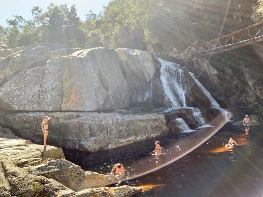 Cape Town: Garden Route and Addo Elephant Park 6-Day Safari - Accommodation and the small-group feel: what I think is actually good value