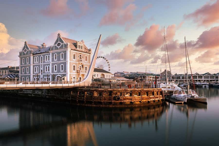 Cape Town: Guided Half-Day City Tour with Table Mountain - Company Gardens to Iziko South African Museum, a calm start with real context