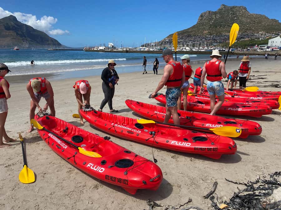 Cape Town: Guided Kayak Tour - Key things I’d plan around