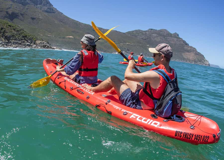 Cape Town: Guided Kayak Tour - Meeting the crew at Animal Ocean, and getting kitted up fast