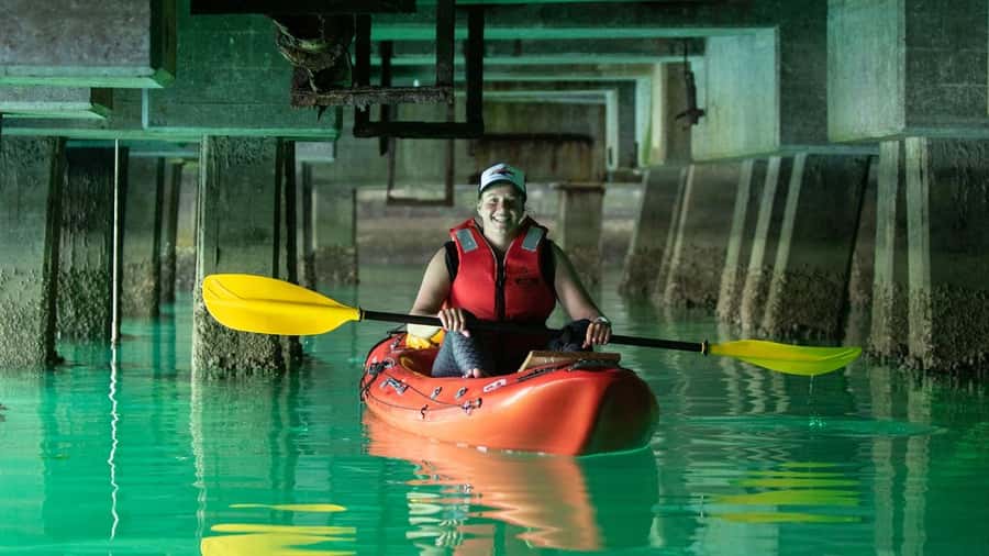Cape Town: Guided Kayak Tour - Cape Fur seals: how to watch without rushing the moment