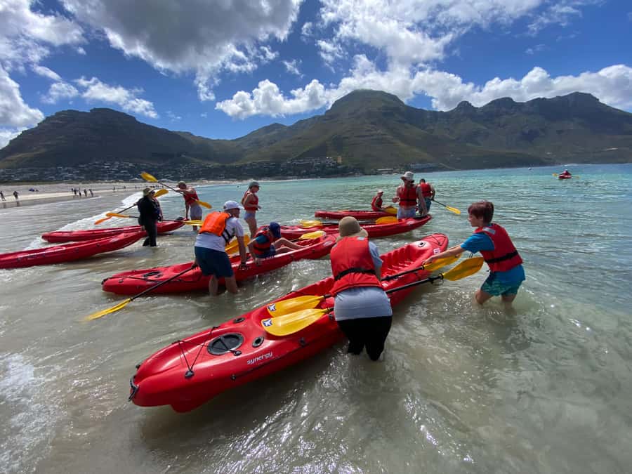 Cape Town: Guided Kayak Tour - A simple decision guide: should you book this kayak tour?
