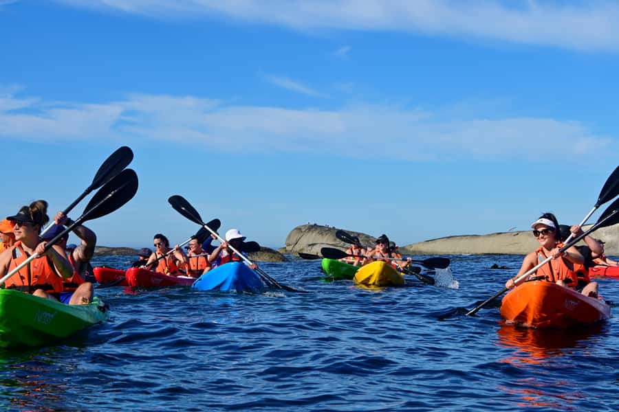 Cape Town: Guided Kayak Tour of Clifton Beaches & The Coast - Clifton Bay from a kayak: why this route feels special