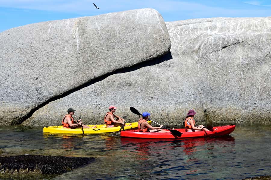 Cape Town: Guided Kayak Tour of Clifton Beaches & The Coast - Price and value: what $49 buys you in real terms