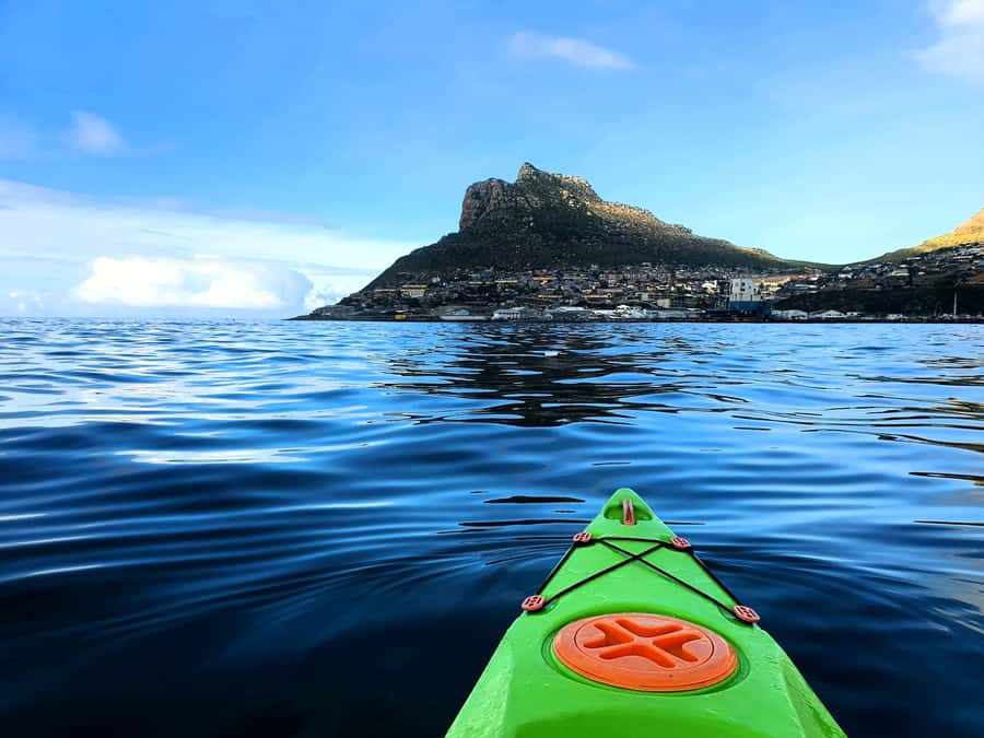 Cape Town: Guided Kayaking in Hout Bay - Getting started at Hout Bay Harbour, next to Ground Up Café