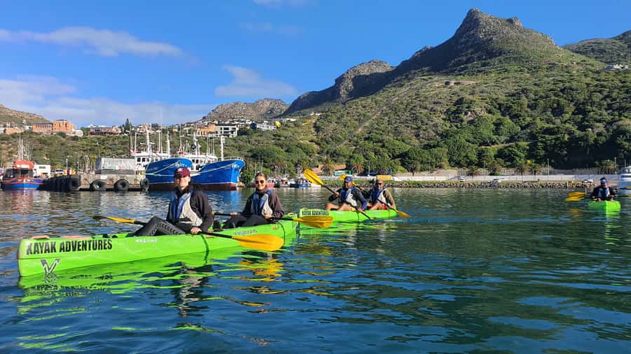 Cape Town: Guided Kayaking in Hout Bay - Wildlife spotting in Hout Bay, from Cape fur seals to dolphins