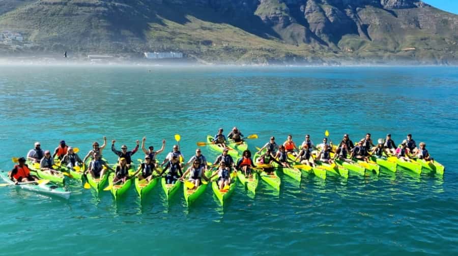Cape Town: Guided Kayaking in Hout Bay - Chapmans Peak and Hout Bay heritage, told while you paddle