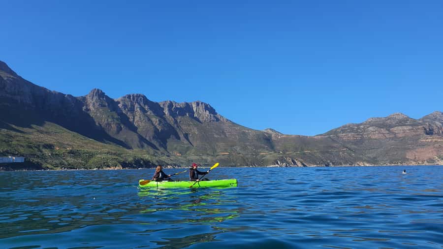 Cape Town: Guided Kayaking in Hout Bay - Price and value: is $37 for 2 hours worth it?