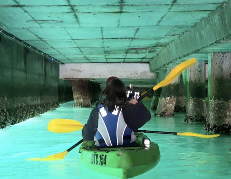 Cape Town: Guided Kayaking in Hout Bay - What you’ll do before you hit the water